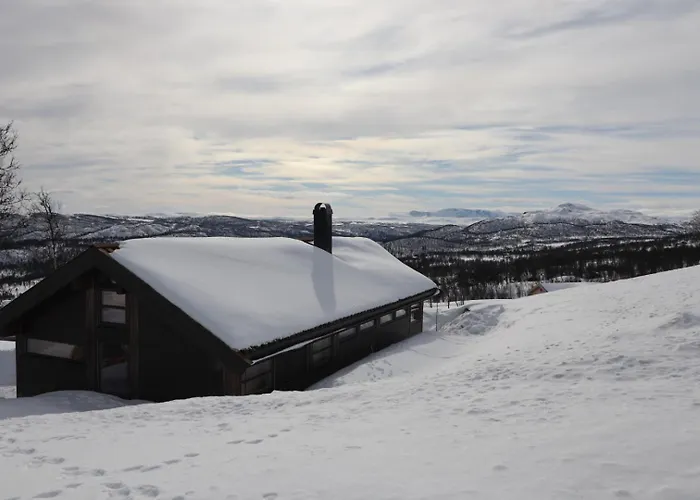 Veslestolen - Alhytte With Amazing View, 1000 Meter